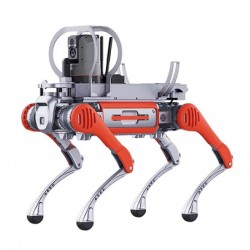 2 İlk Yardım köpeği